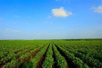 星空體育APP:最新_天極網(wǎng)_智能家居頻道